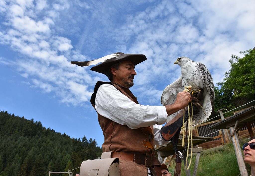 raptors-show-rochebaron