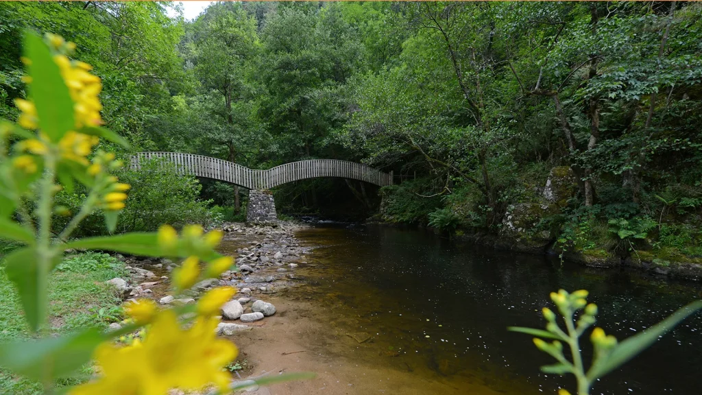 passerelle-di-vaubarlet