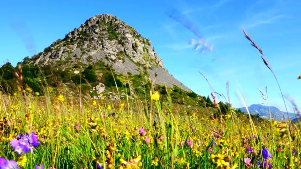 Mont-Gerbier-de-Jonc