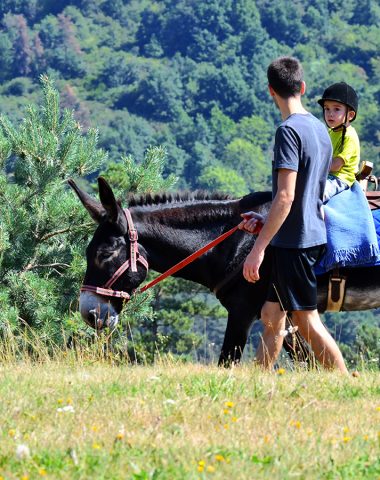 hiking-with-a-donkey