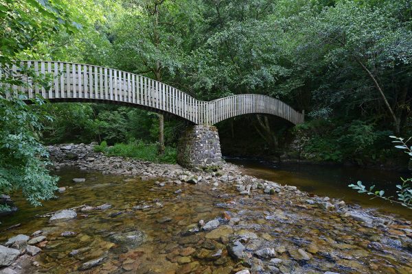 Gorges-de-la-dunière